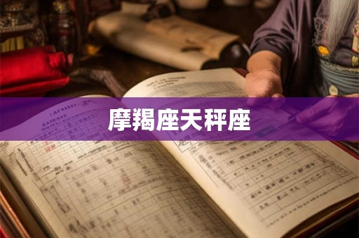 摩羯座天秤座