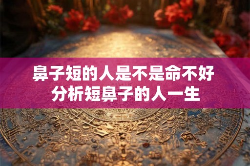 鼻子短的人是不是命不好 分析短鼻子的人一生