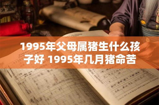 1995年父母属猪生什么孩子好 1995年几月猪命苦