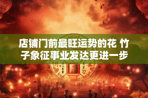 店铺门前最旺运势的花 竹子象征事业发达更进一步