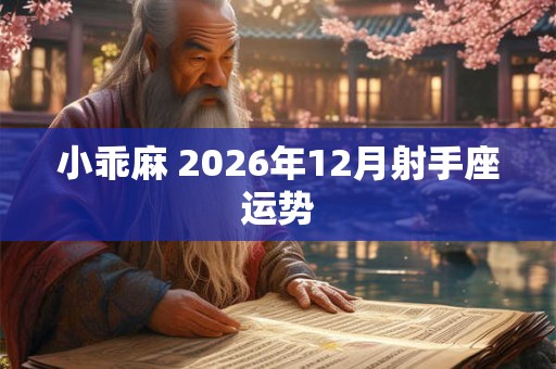 小乖麻 2026年12月射手座运势