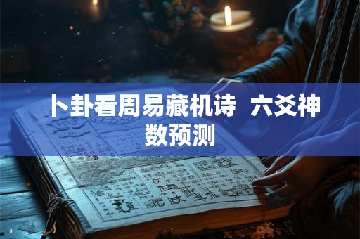 卜卦看周易藏机诗  六爻神数预测