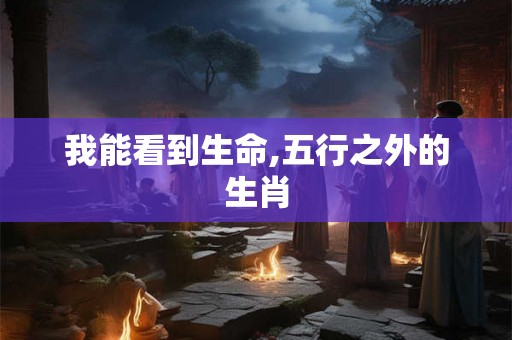 我能看到生命,五行之外的生肖