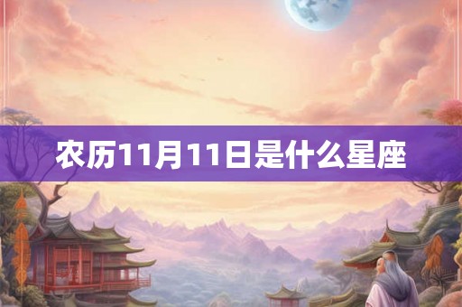 农历11月11日是什么星座