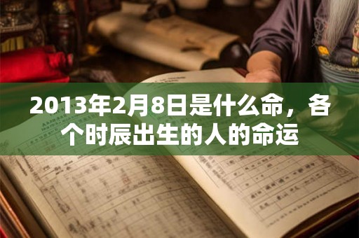 2013年2月8日是什么命，各个时辰出生的人的命运