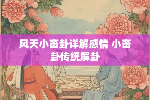 风天小畜卦详解感情 小畜卦传统解卦