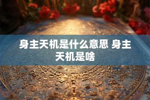 身主天机是什么意思 身主天机是啥
