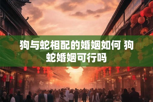狗与蛇相配的婚姻如何 狗蛇婚姻可行吗