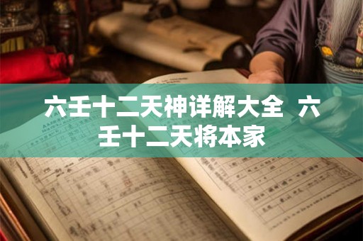 六壬十二天神详解大全  六壬十二天将本家