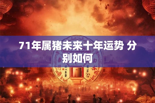 71年属猪未来十年运势 分别如何