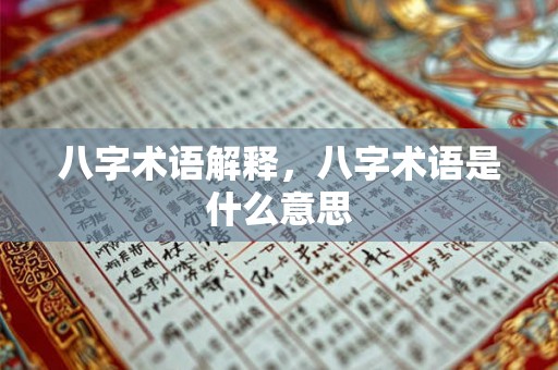 八字术语解释，八字术语是什么意思
