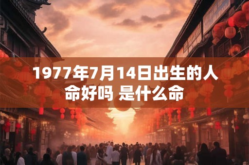 1977年7月14日出生的人命好吗 是什么命