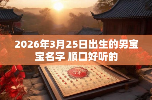 2026年3月25日出生的男宝宝名字 顺口好听的 2026年3月25日出生的男宝宝名字 顺口好听的