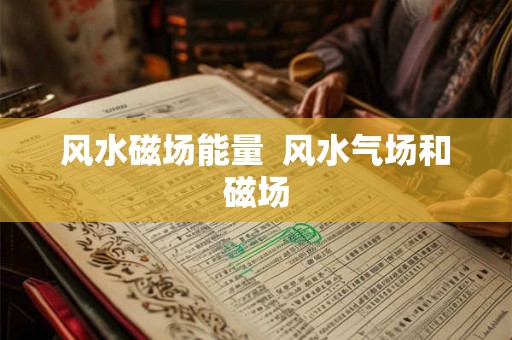 风水磁场能量 风水气场和磁场 风水磁场能量 风水气场和磁场