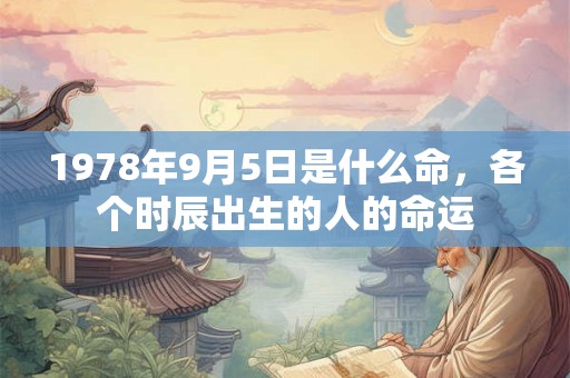 1978年9月5日是什么命，各个时辰出生的人的命运