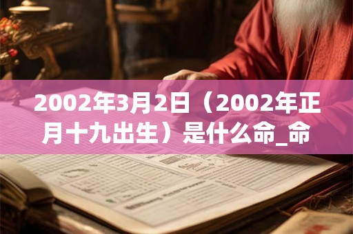 2002年3月2日（2002年正月十九出生）是什么命_命运如何