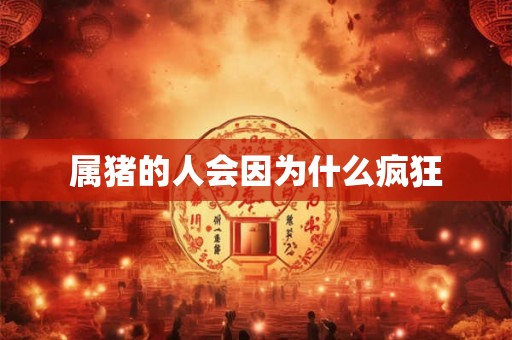 属猪的人会因为什么疯狂