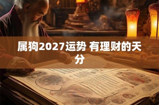 属狗2027运势 有理财的天分