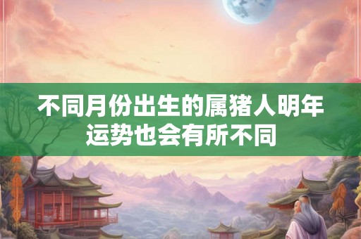 不同月份出生的属猪人明年运势也会有所不同