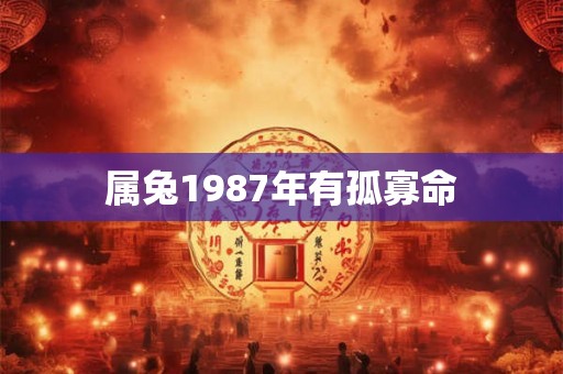 属兔1987年有孤寡命
