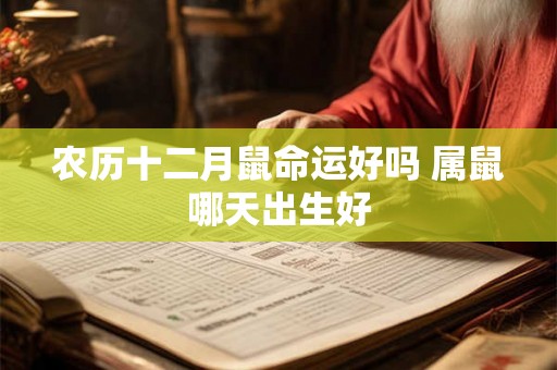农历十二月鼠命运好吗 属鼠哪天出生好