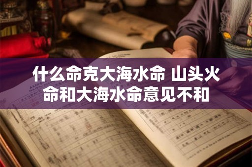 什么命克大海水命 山头火命和大海水命意见不和