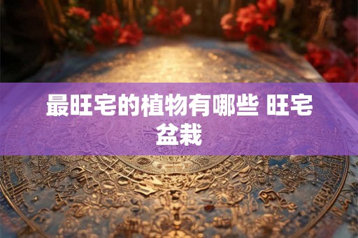 最旺宅的植物有哪些 旺宅盆栽