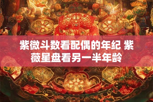 紫微斗数看配偶的年纪 紫薇星盘看另一半年龄 紫微斗数看配偶的年纪 紫薇星盘看另一半年龄