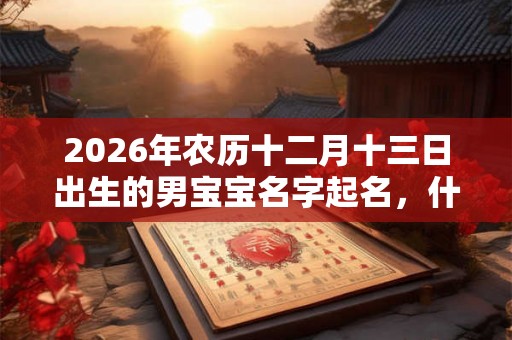 2026年农历十二月十三日出生的男宝宝名字起名，什么名字好？
