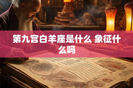 第九宫白羊座是什么 象征什么吗