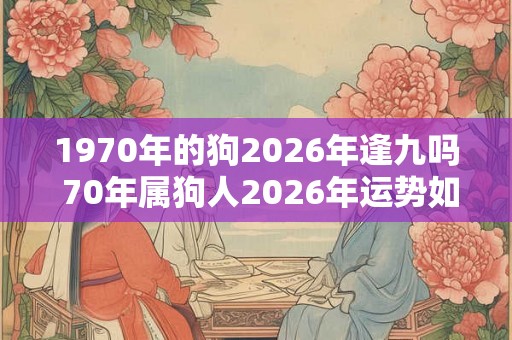1970年的狗2026年逢九吗 70年属狗人2026年运势如何