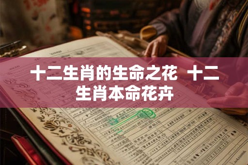 十二生肖的生命之花  十二生肖本命花卉