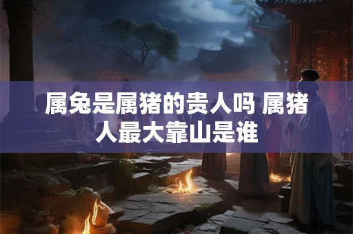 属兔是属猪的贵人吗 属猪人最大靠山是谁