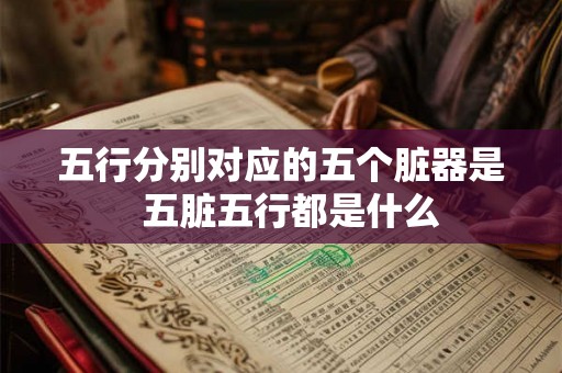 五行分别对应的五个脏器是  五脏五行都是什么