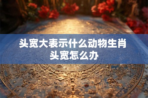 头宽大表示什么动物生肖 头宽怎么办