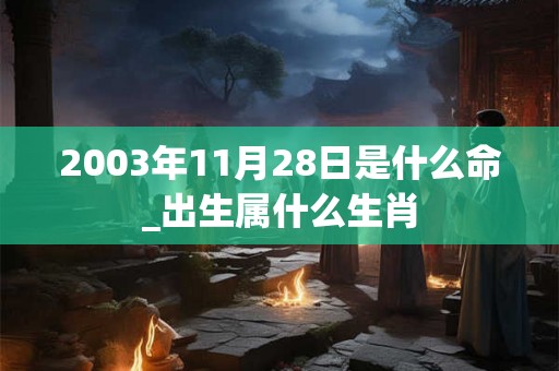 2003年11月28日是什么命_出生属什么生肖 2003年11月28日是什么命_出生属什么生肖