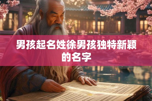 男孩起名姓徐男孩独特新颖的名字