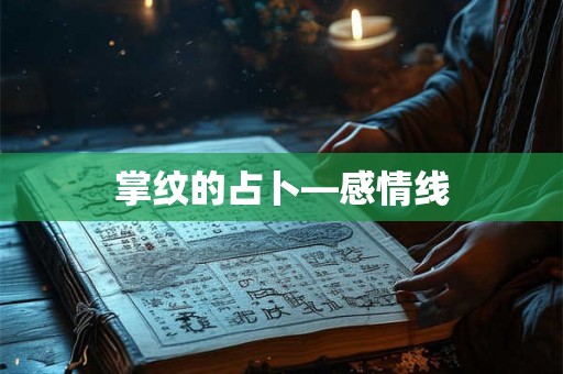 掌纹的占卜—感情线