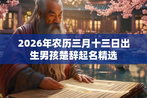 2026年农历三月十三日出生男孩楚辞起名精选