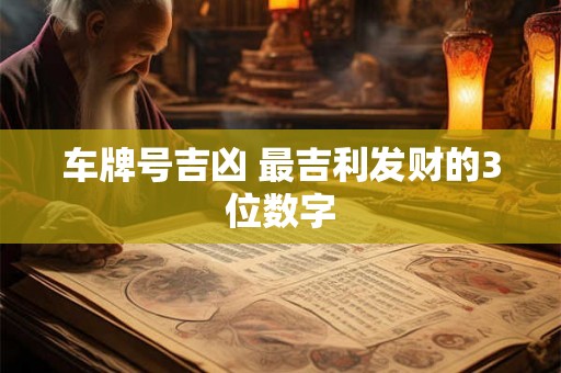 车牌号吉凶 最吉利发财的3位数字 车牌号吉凶 最吉利发财的3位数字