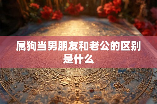 属狗当男朋友和老公的区别是什么