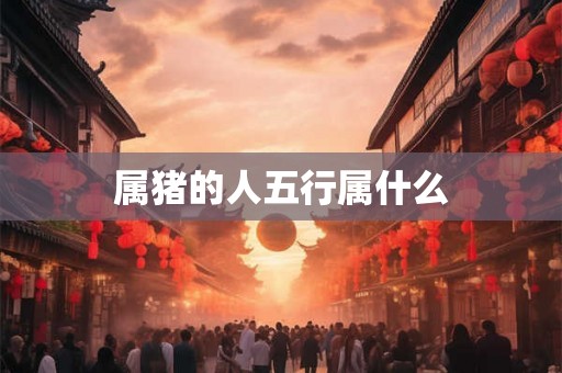 属猪的人五行属什么 属猪的人五行属什么