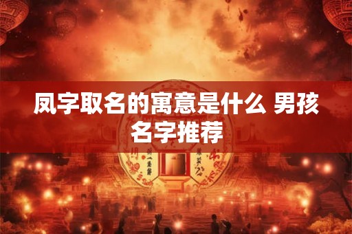 凤字取名的寓意是什么 男孩名字推荐 凤字取名的寓意是什么 男孩名字推荐