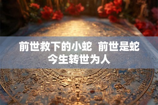 前世救下的小蛇  前世是蛇今生转世为人