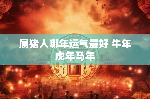 属猪人哪年运气最好 牛年虎年马年