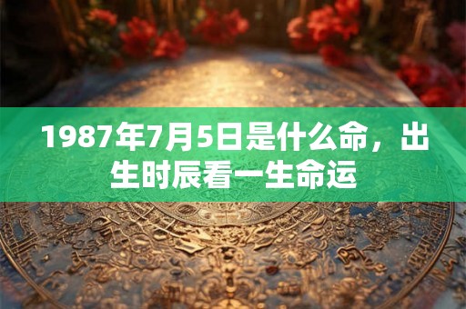 1987年7月5日是什么命,出生时辰看一生命运 1987年7月5日是什么命,出生时辰看一生命运