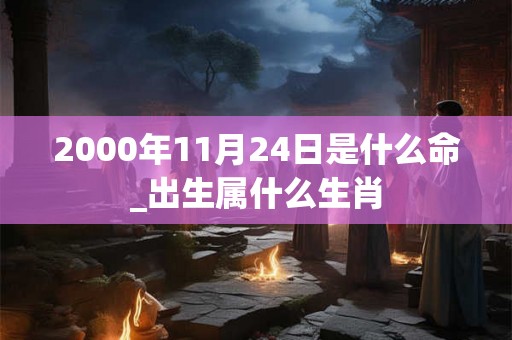 2000年11月24日是什么命_出生属什么生肖