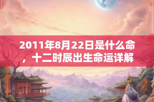 2011年8月22日是什么命，十二时辰出生命运详解