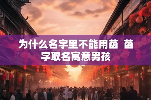 为什么名字里不能用菡  菡字取名寓意男孩