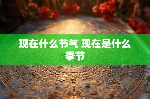 现在什么节气 现在是什么季节 现在什么节气 现在是什么季节